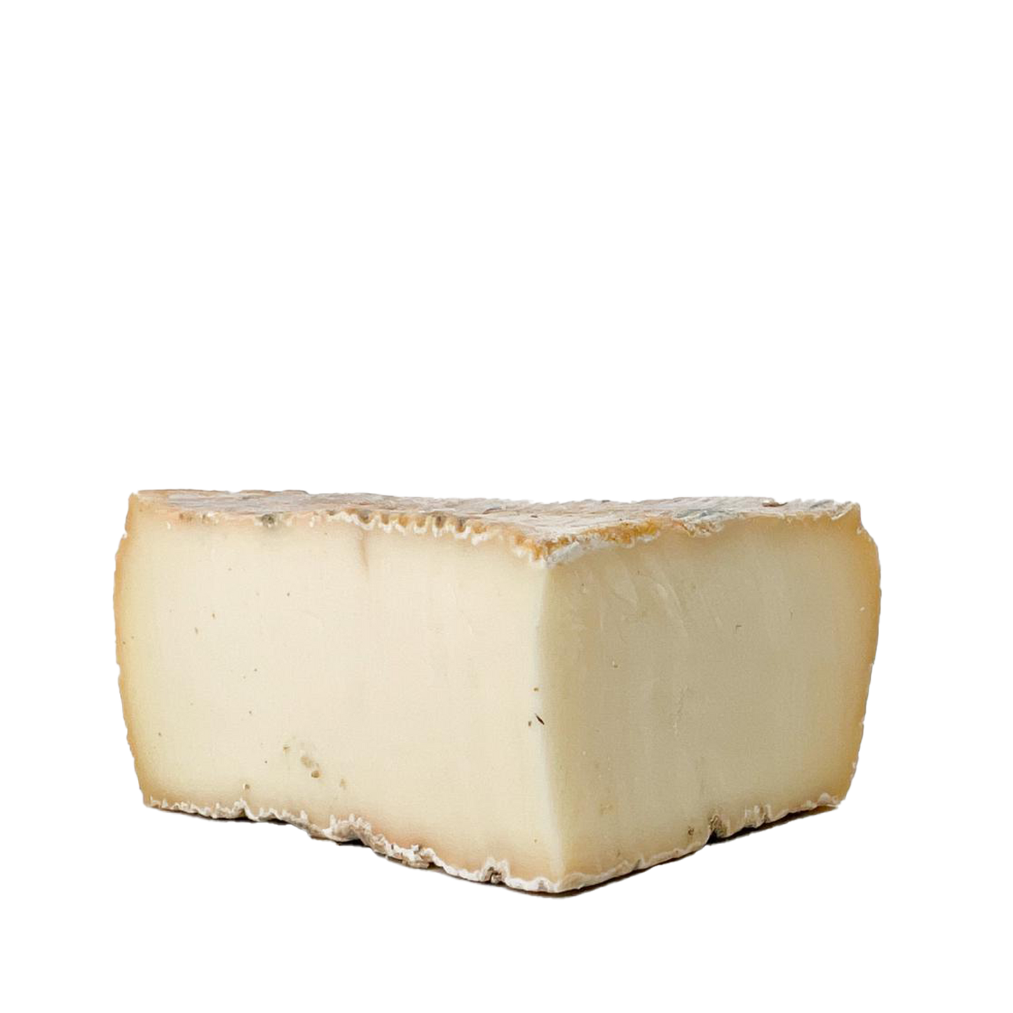 Taleggio DOP