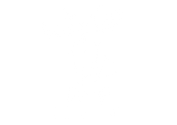 Chèvre Miami