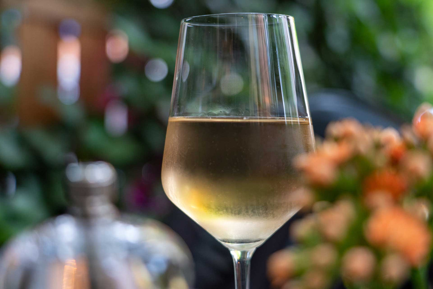 A glass of white wine. 