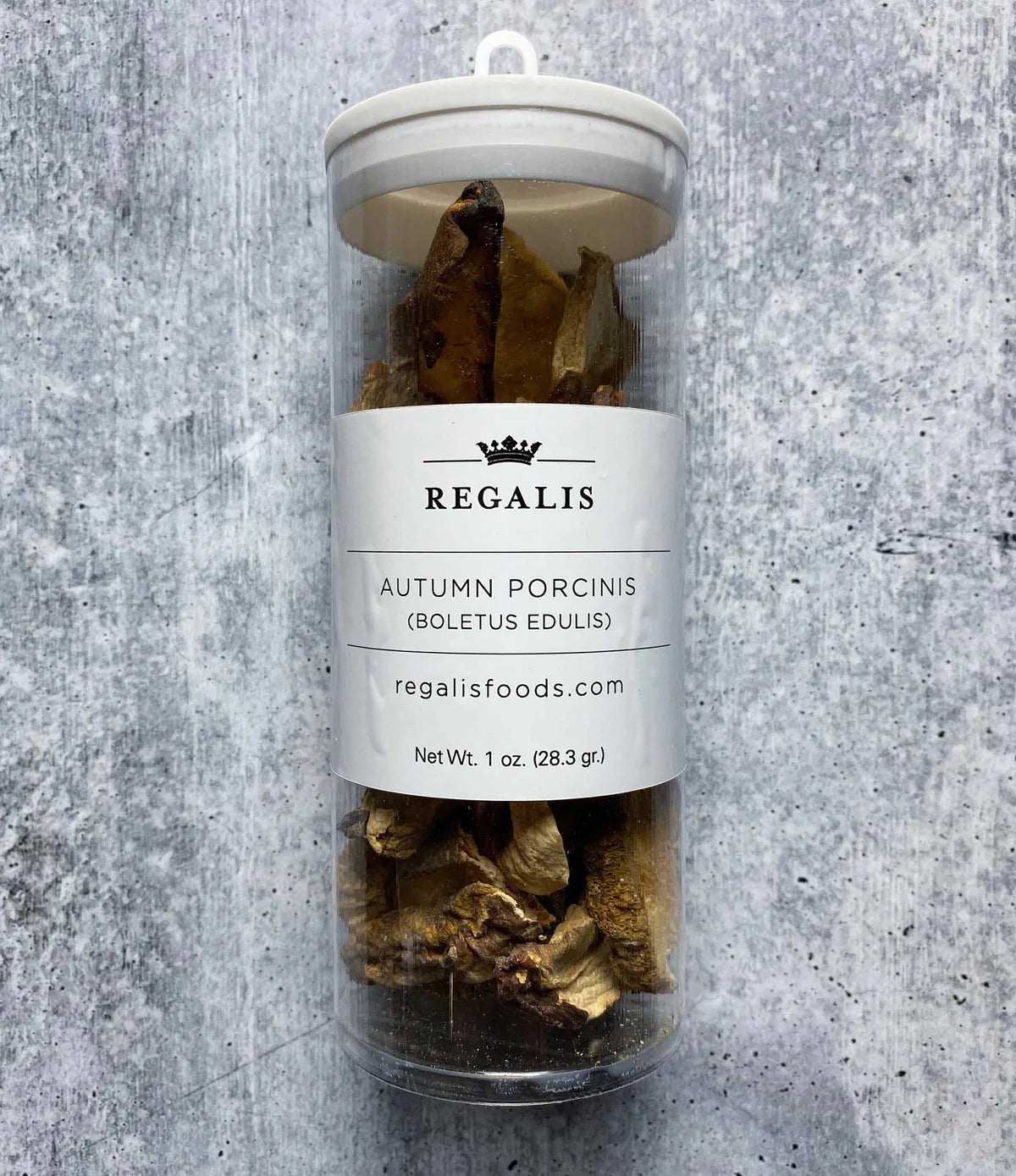 Autumn Porcini Mushroom