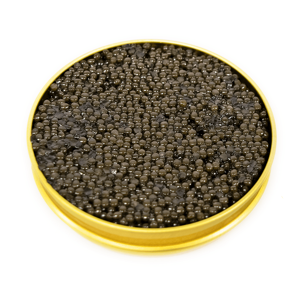 Royal Belgian Ossetra