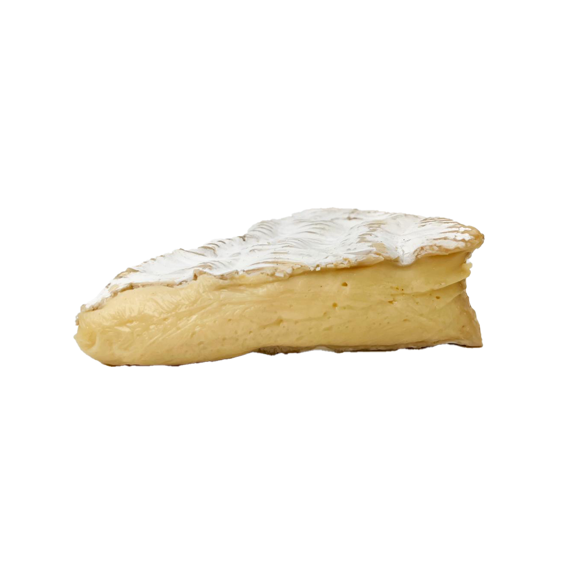 Brie Donge