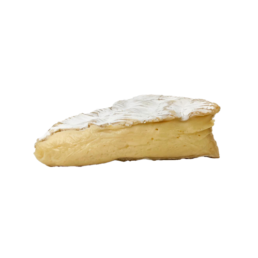 Brie Donge