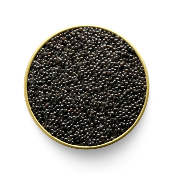American Paddlefish Caviar